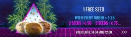 Free Cannabis Seeds!